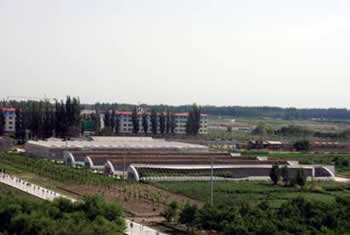 塔里木大学植物科技学院